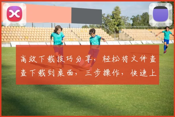 高效下载技巧分享，轻松将文件查查下载到桌面，三步操作，快速上手，不容错过