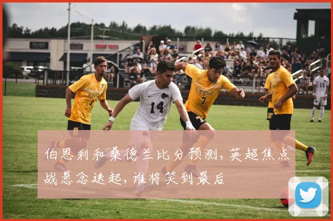 伯恩利和桑德兰比分预测,英超焦点战悬念迭起,谁将笑到最后