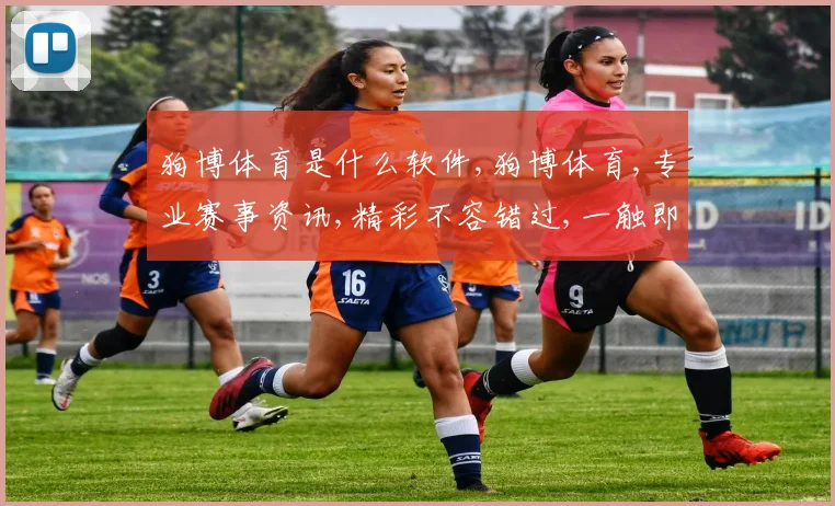 狗博体育是什么软件,狗博体育,专业赛事资讯,精彩不容错过,一触即达