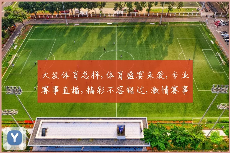 大发体育怎样,体育盛宴来袭,专业赛事直播,精彩不容错过,激情赛事一网打尽